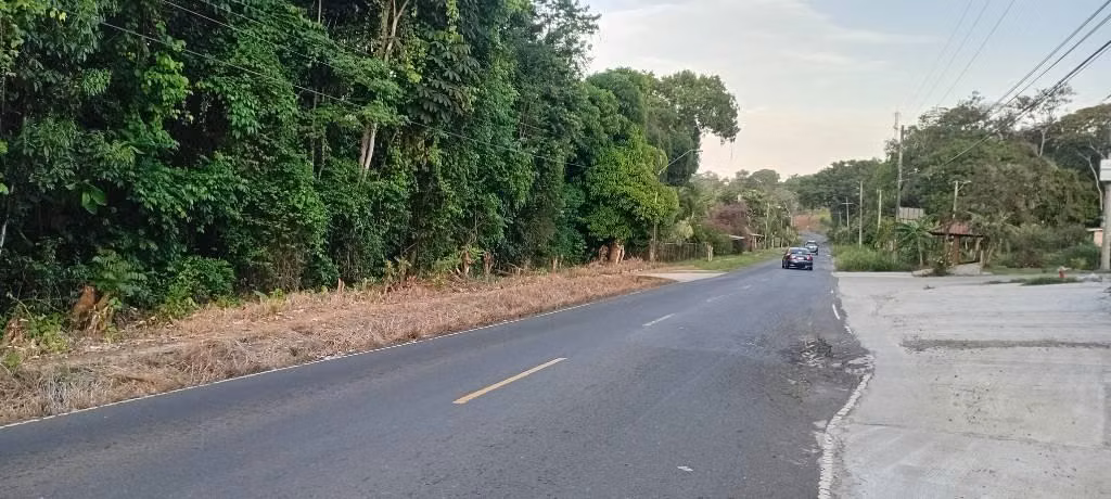 Vendo lote de 1.8 has en chorrera - Imagen 3