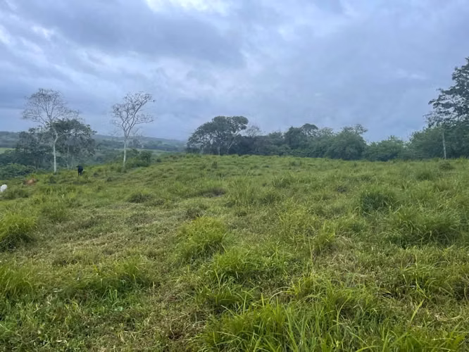V3ñendo 9.5 has en chorrera