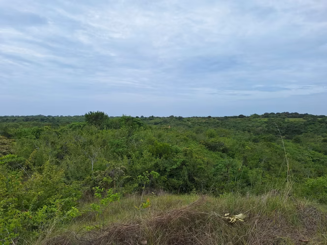 Lote para Desarrollo Residencial u Hotelero en Piedras Gordas, Cerca de Playa Blanca