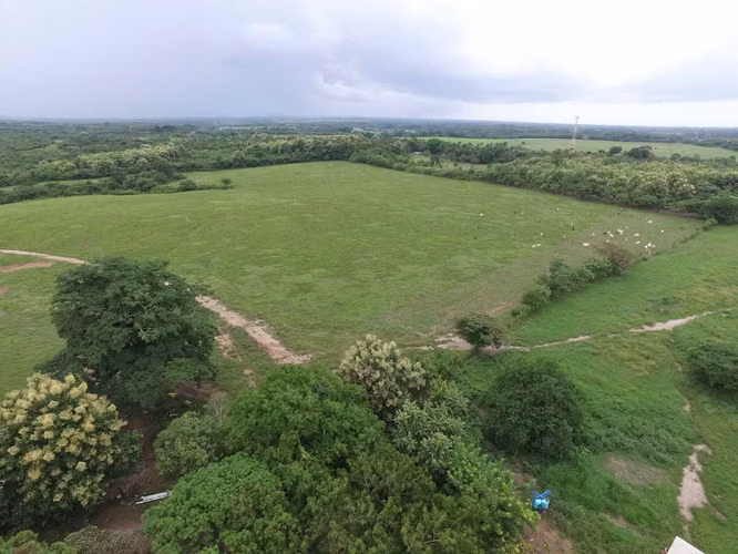 En venta 65 hectáreas con frente a la Carretera Panamericana – Antón