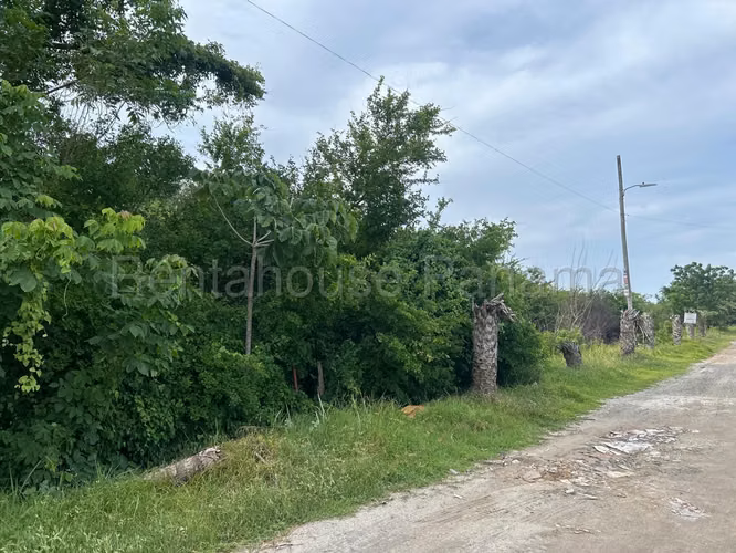 VENTA DE TERRENO EN PLAYA MALIBÚ CAPIRA HQ