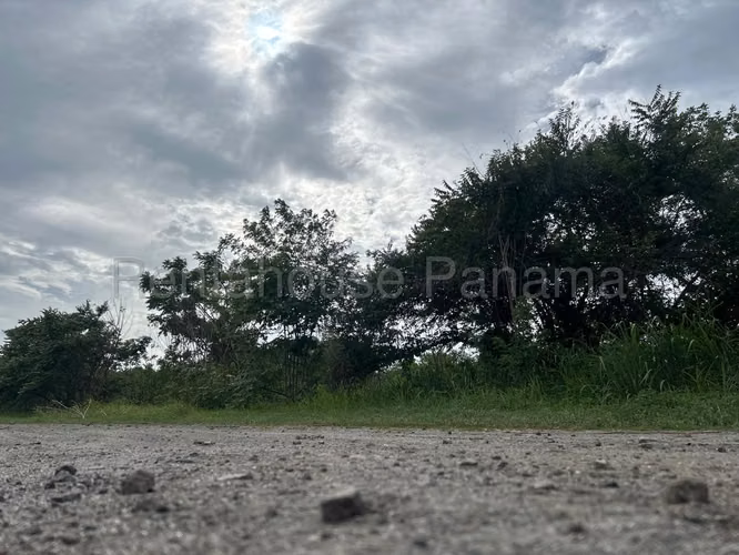 VENTA DE TERRENO EN PLAYA MALIBÚ CAPIRA HQ
