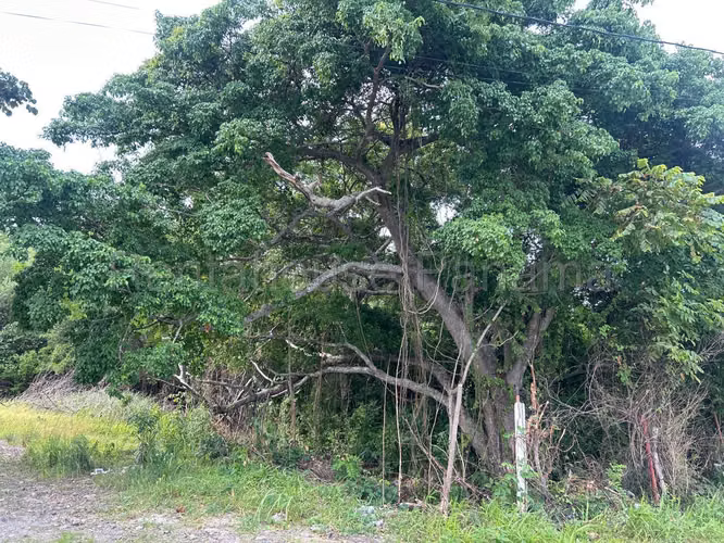 VENTA DE TERRENO EN PLAYA MALIBÚ CAPIRA HQ