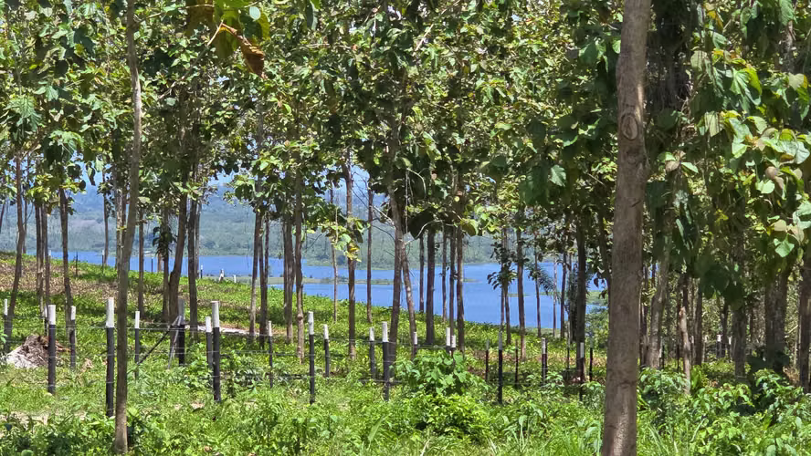 LOTES FRENTE AL LAGO  - FINANCIAMIENTO DIRECTO DESDE $200 QUINCENAL SIN ABONO Y INTERES