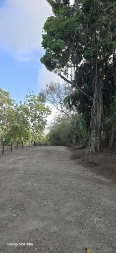 LOTES FRENTE AL LAGO  - FINANCIAMIENTO DIRECTO DESDE $200 QUINCENAL SIN ABONO Y INTERES