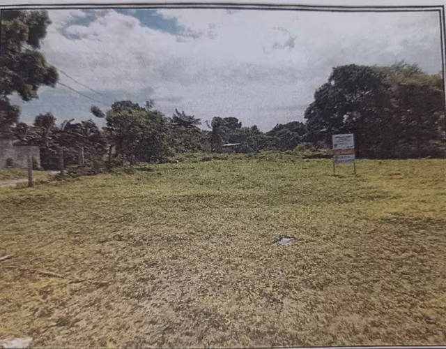Terreno 2,000m2 Las Lajas - Chame $125,000 - Imagen 5