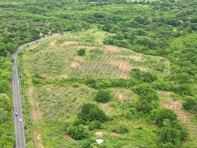 Venta de Fincas en Calobre y San Francisco, Veraguas, 700 hectáreas
