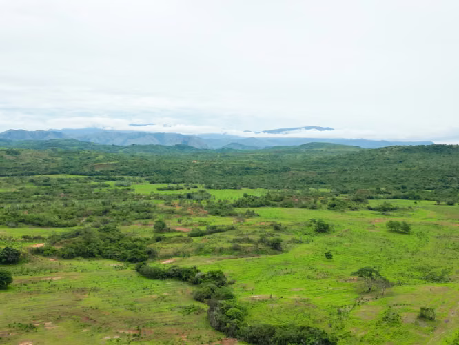 Venta de Fincas en Calobre y San Francisco, Veraguas, 700 hectáreas
