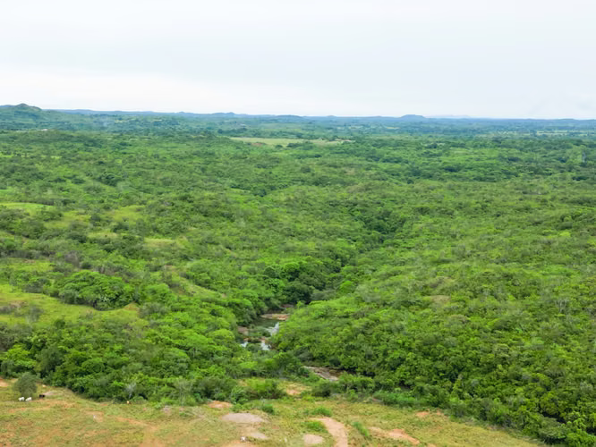 Venta de Fincas en Calobre y San Francisco, Veraguas, 700 hectáreas