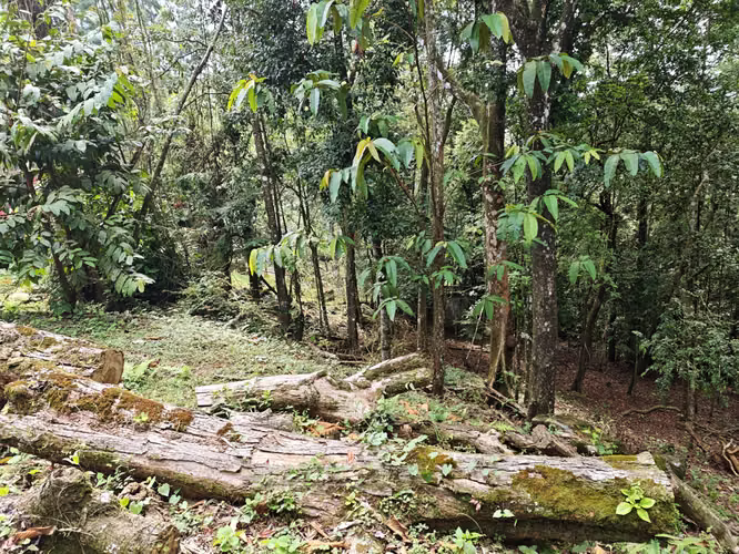 VENTA DE TERRENOS –LAS.NUBES CERRO AZUL LAS NUBES - Imagen 14