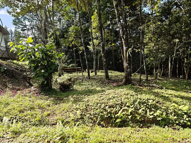 VENTA DE TERRENOS –LAS.NUBES CERRO AZUL LAS NUBES - Imagen 2