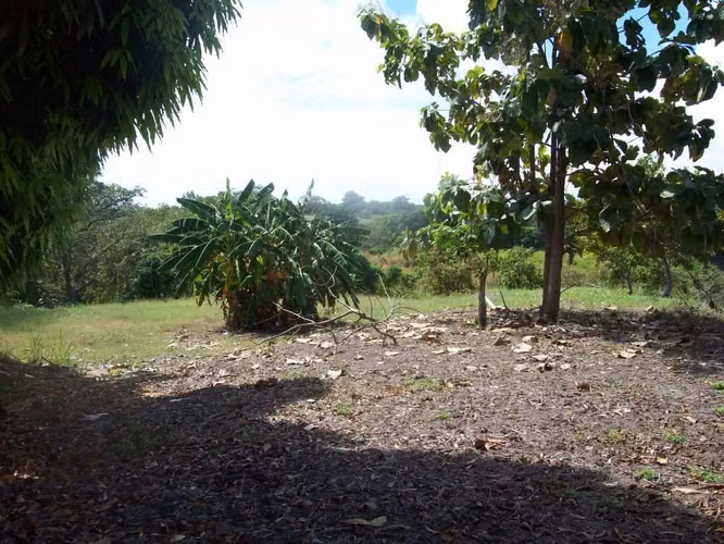 Se vende terreno en Coronado
