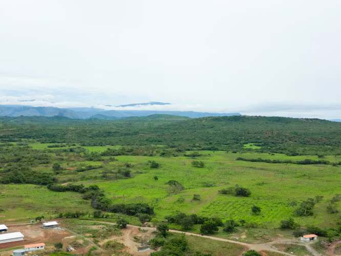 Venta de Finca en Calobre, Veraguas, 500 hectáreas