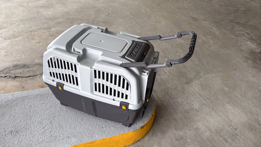 Carrier cage for pets and boat for food