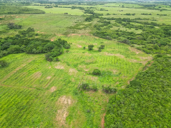 Venta de Finca en San Francisco, Veraguas, 200 hectáreas