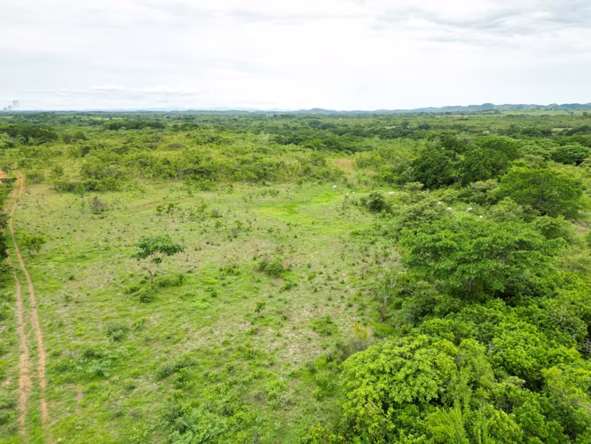 Venta de Finca en San Francisco, Veraguas, 200 hectáreas