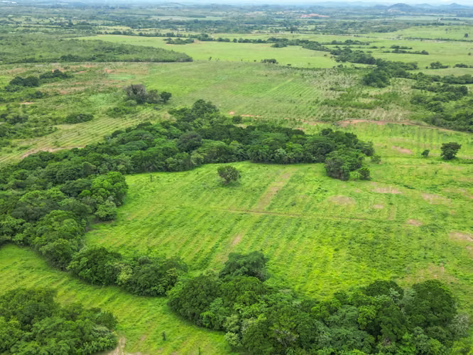 Venta de Finca en San Francisco, Veraguas, 200 hectáreas