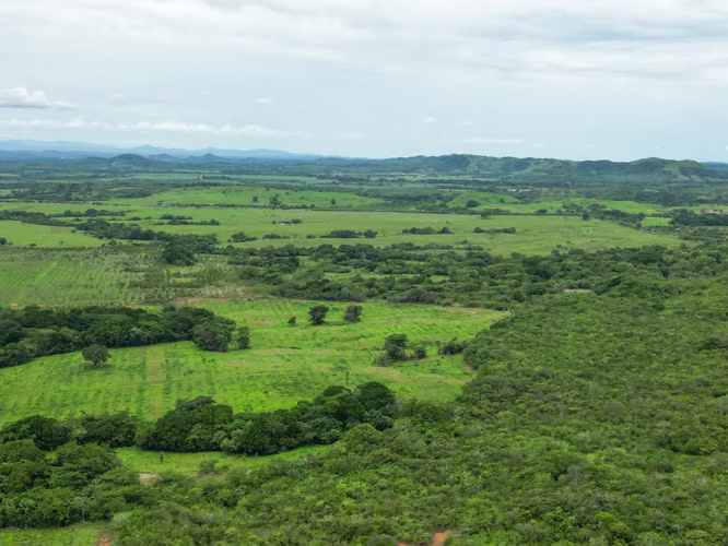 Venta de Finca en San Francisco, Veraguas, 200 hectáreas