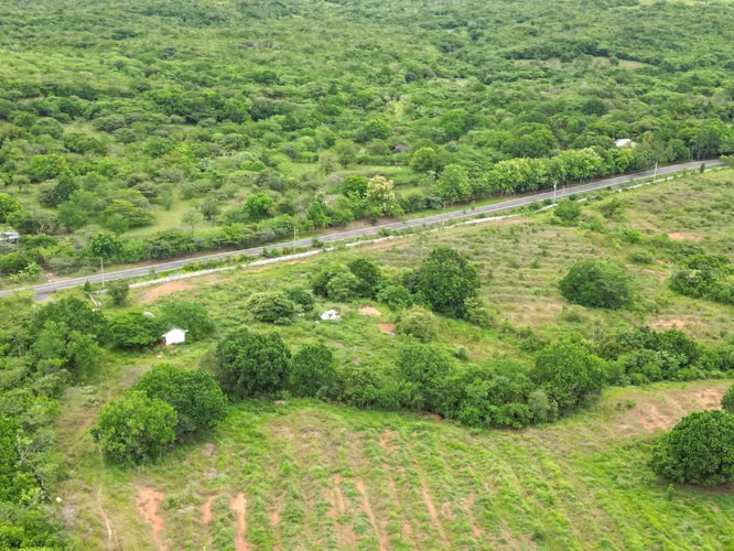 Venta de Finca en San Francisco, Veraguas, 200 hectáreas