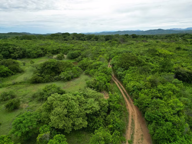Venta de Finca en San Francisco, Veraguas, 200 hectáreas