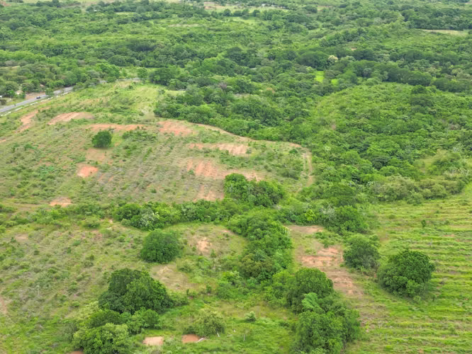 Venta de Finca en San Francisco, Veraguas, 200 hectáreas
