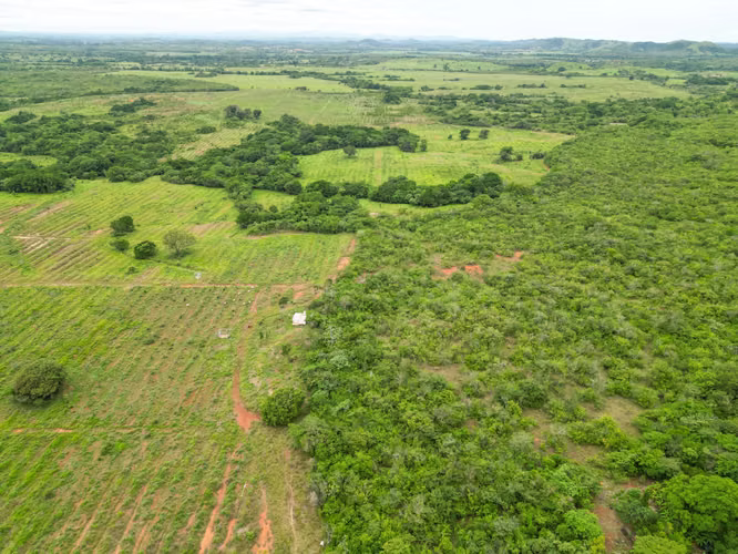 Venta de Finca en San Francisco, Veraguas, 200 hectáreas