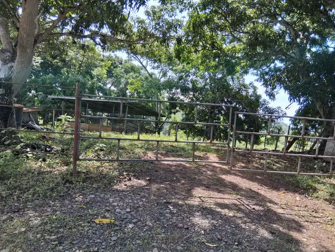 SE VENDE FINCA GANADERA.