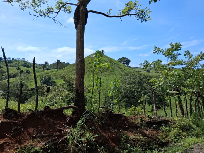 SE VENDE FINCA GANADERA.