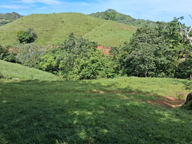 SE VENDE FINCA GANADERA.