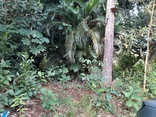 SE VENDE FINCA EN TOABRE