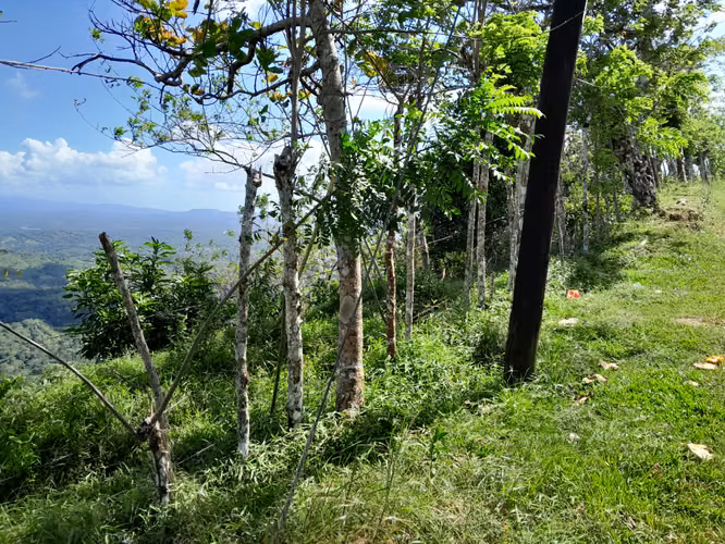SE VENDE FINCA GANADERA