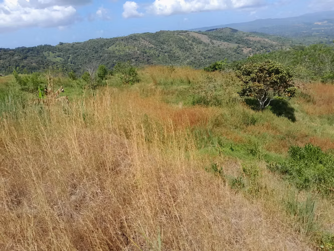 SE VENDE FINCA GANADERA