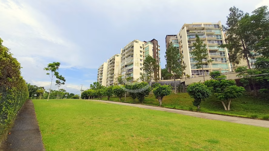 Venta Apartamento Pine Hill Albrook Remate