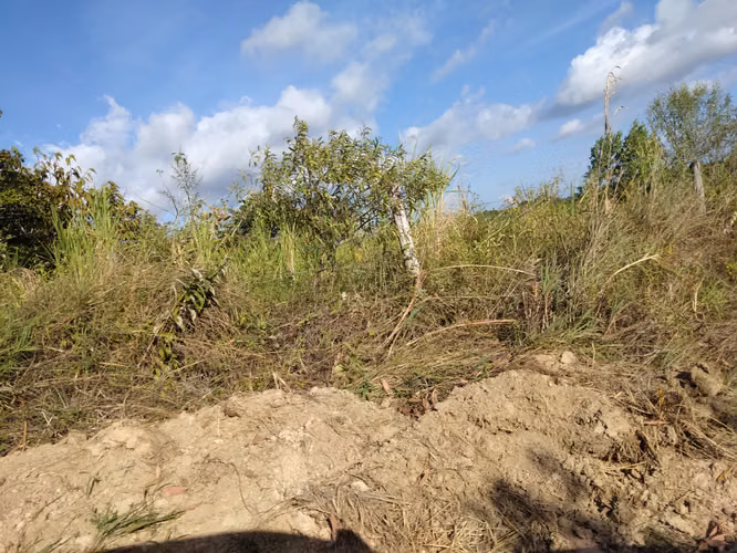 Se vende finca agropecuaria