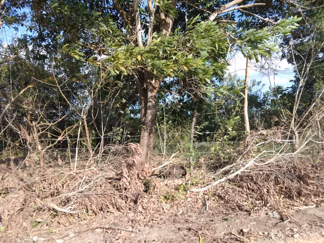 Se vende finca agropecuaria