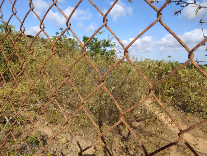 Selling farm