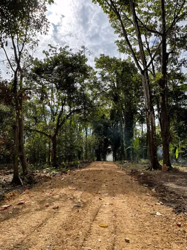 Venta de Terreno Frente al Mar en Playa Bluff, Bocas del Toro, 1,586m2