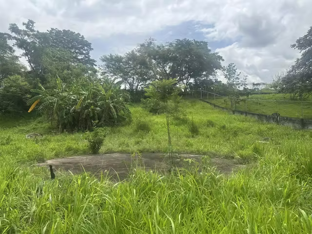Se vende terreno en Buenos Aires, Chame, entrando por la Carretera hacia Altos del Maria