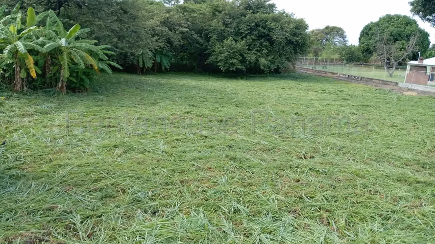 Se Alquiler Terreno en San Carlos KA26-2895