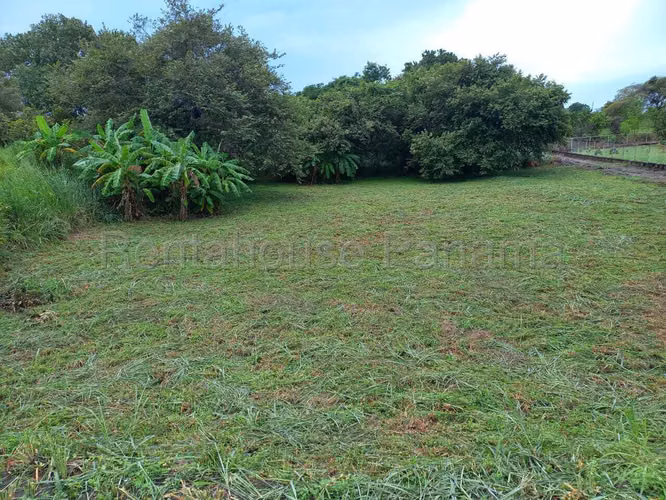 Land for Rent in San Carlos KA26-2895