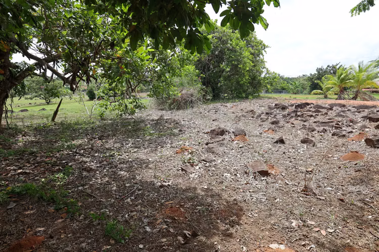 En venta Lote Campestre en Palmas de Capira con Financiamiento o Cash Villa Rosario