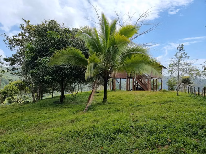 Se vende finca  166 hectáreas Cañita 1,000.00 por hectárea