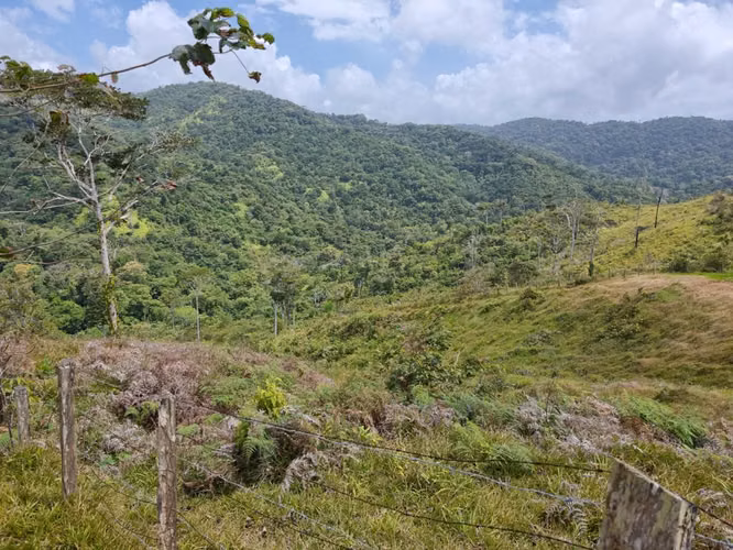 Se vende finca  166 hectáreas Cañita 1,000.00 por hectárea