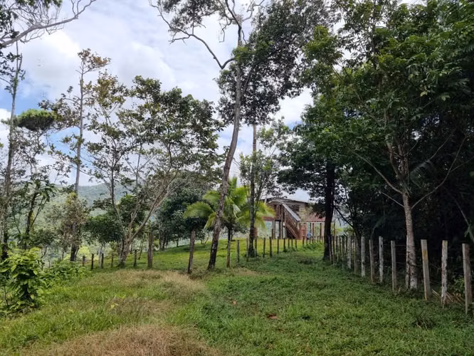 Se vende finca  166 hectáreas Cañita 1,000.00 por hectárea