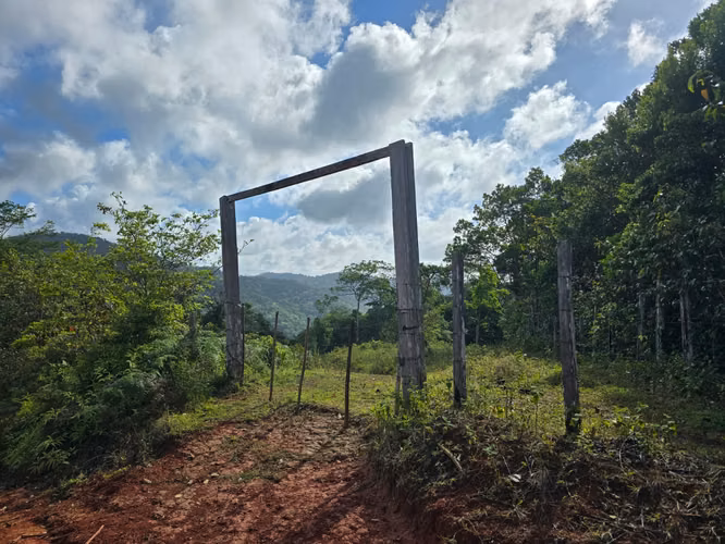 Se vende finca  166 hectáreas Cañita 1,000.00 por hectárea