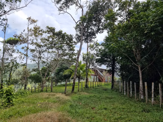Se vende finca  166 hectáreas Cañita 1,000.00 por hectárea