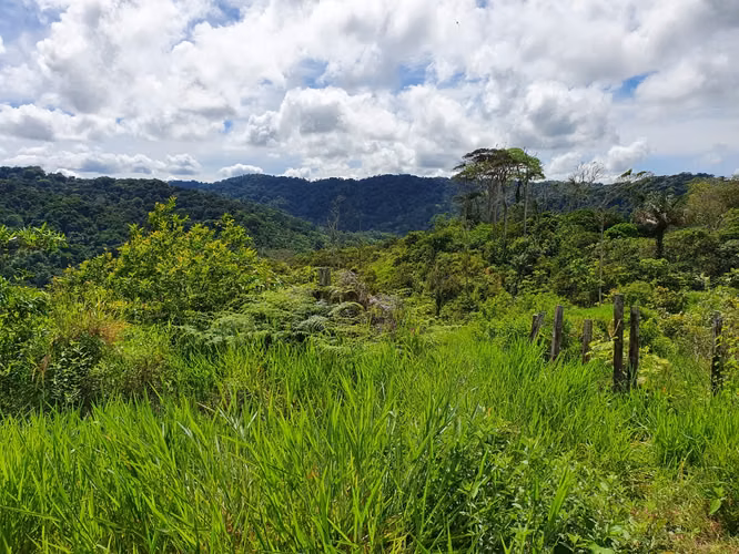 Se vende finca  166 hectáreas Cañita 1,000.00 por hectárea