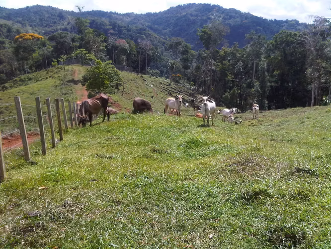 Se vende finca  166 hectáreas Cañita 1,000.00 por hectárea