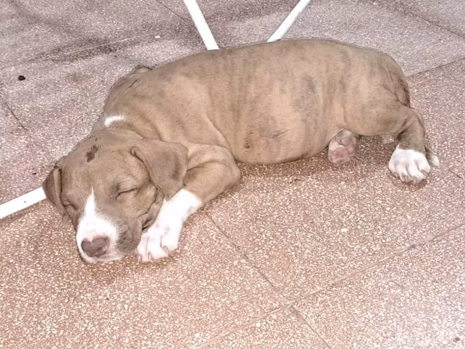 Se vende