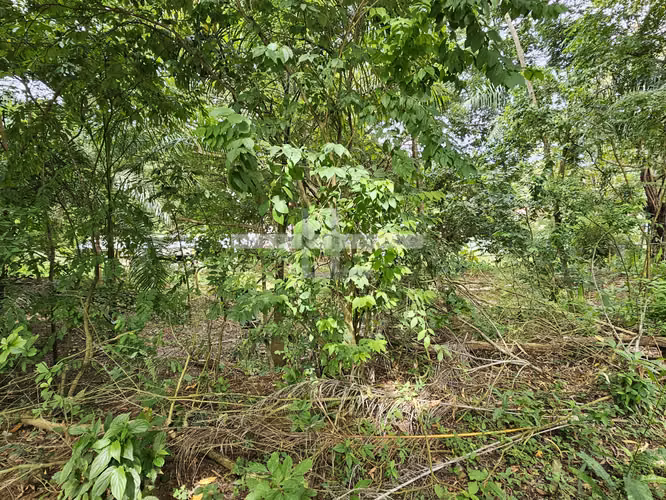Venta de Terreno en Ancón. 1,223 mt2. Haga una oferta